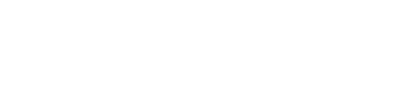 steko-logo